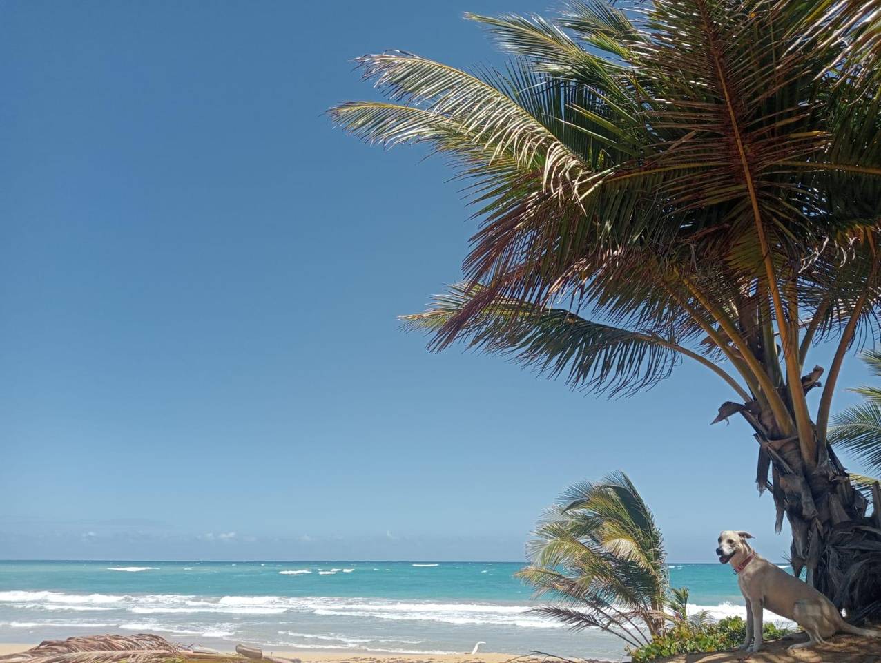 Terrenos en venta en Higüey