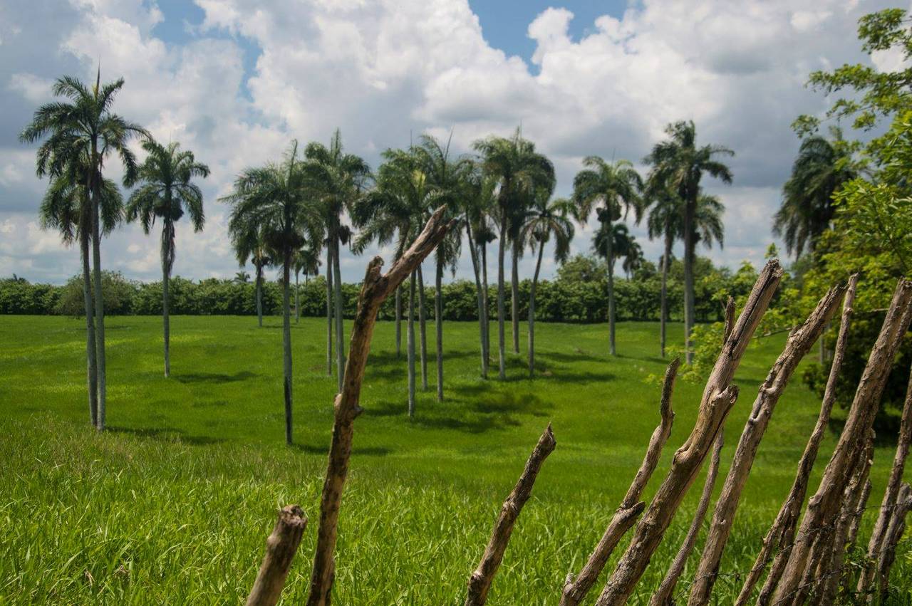 Terrenos en venta en Santo Domingo Norte