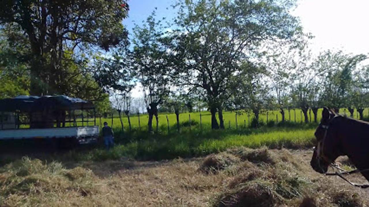 Terreno en venta La Victoria Solar