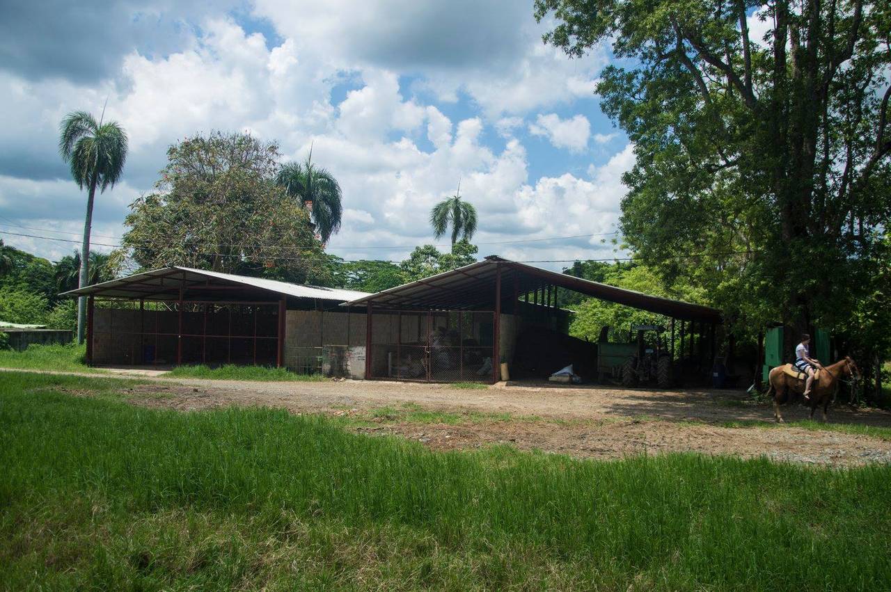 Terrenos en venta en Santo Domingo Norte