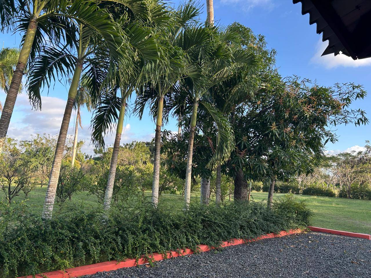 🌴 Finca en Venta en El Seibo – Perfecta para Eventos o Airbnb 🏡✨