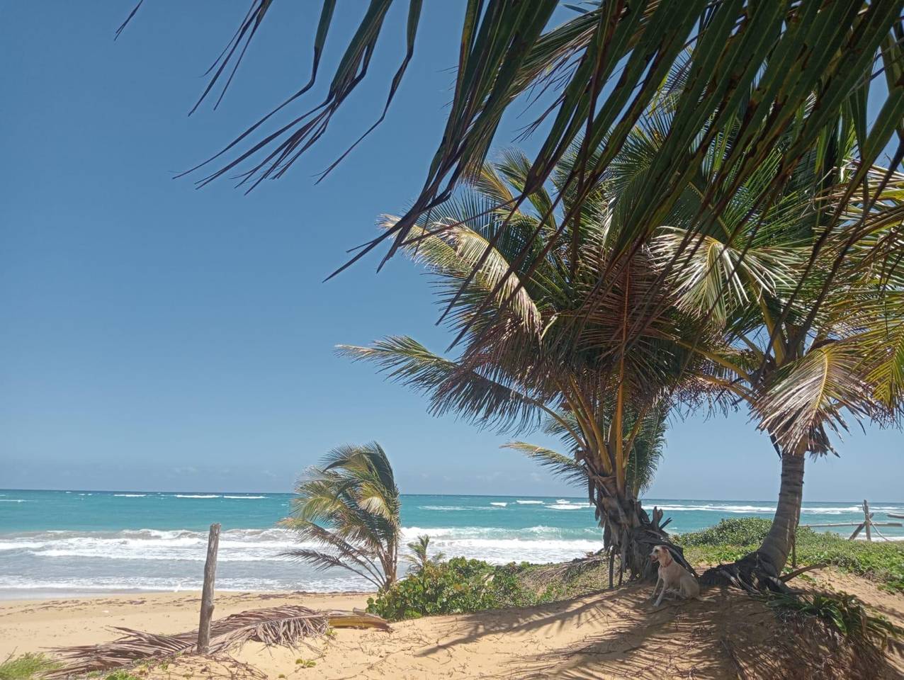 Terrenos en venta en Higüey