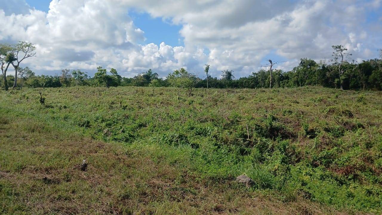 Terreno en venta en Bavaro, oportunidad única para desarrollar un lujoso proyecto.