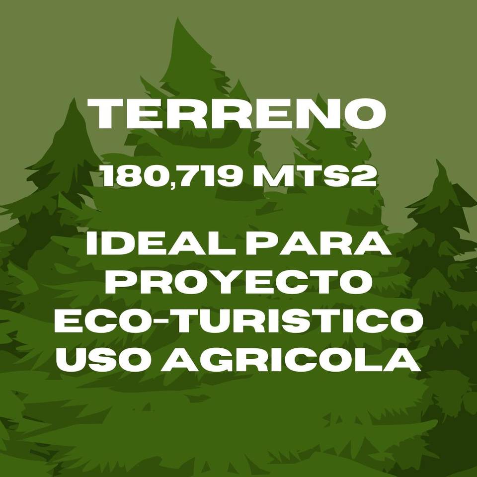 Terreno en Venta en Arroyo Frío, Constanza | Ideal para Proyecto Turístico o Agrícola