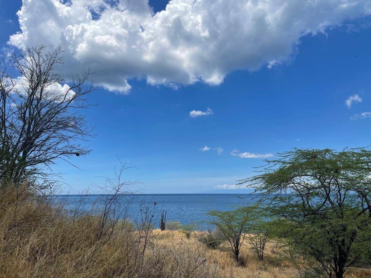 Terrenos en venta en Las Charcas