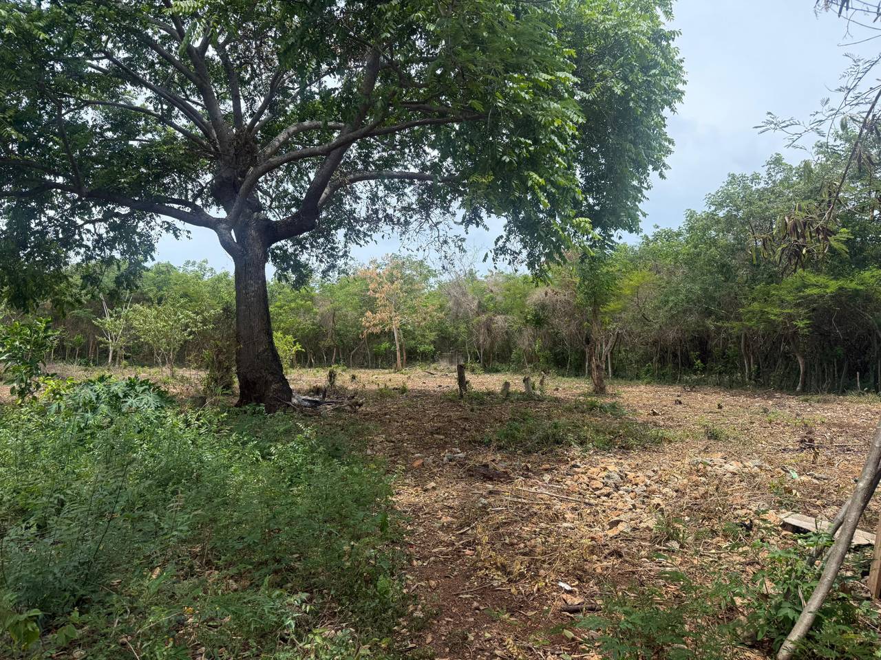 Terreno en Juan Dolio