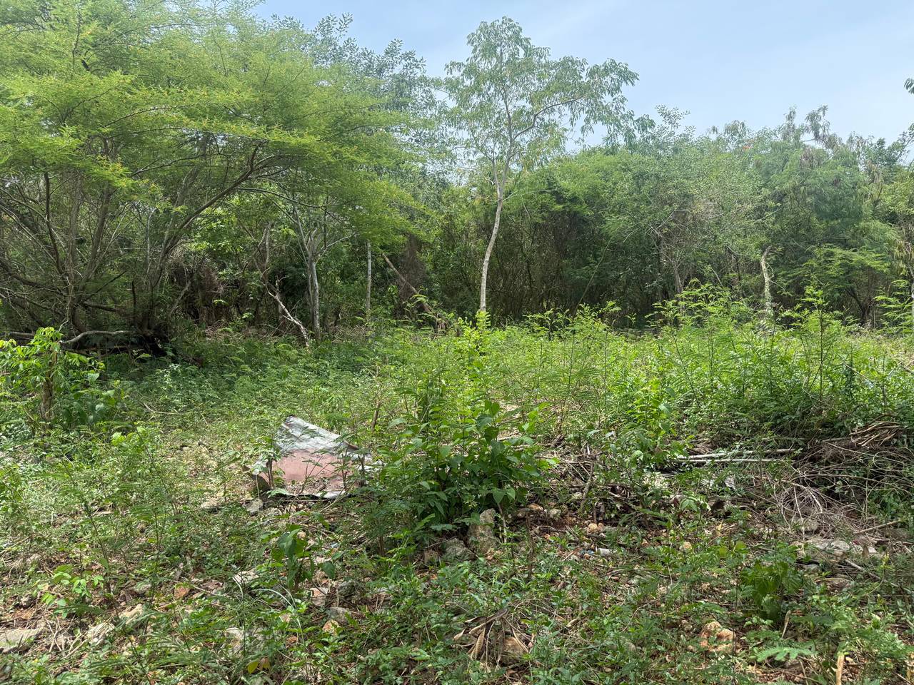 Terreno en Juan Dolio