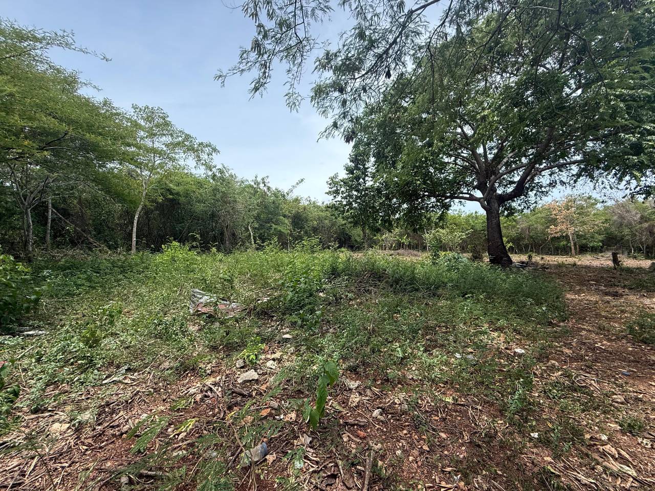 Terreno en Juan Dolio
