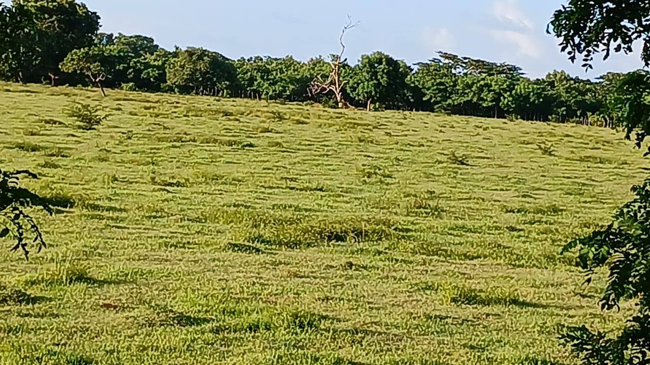 Terreno en venta en Bávaro!