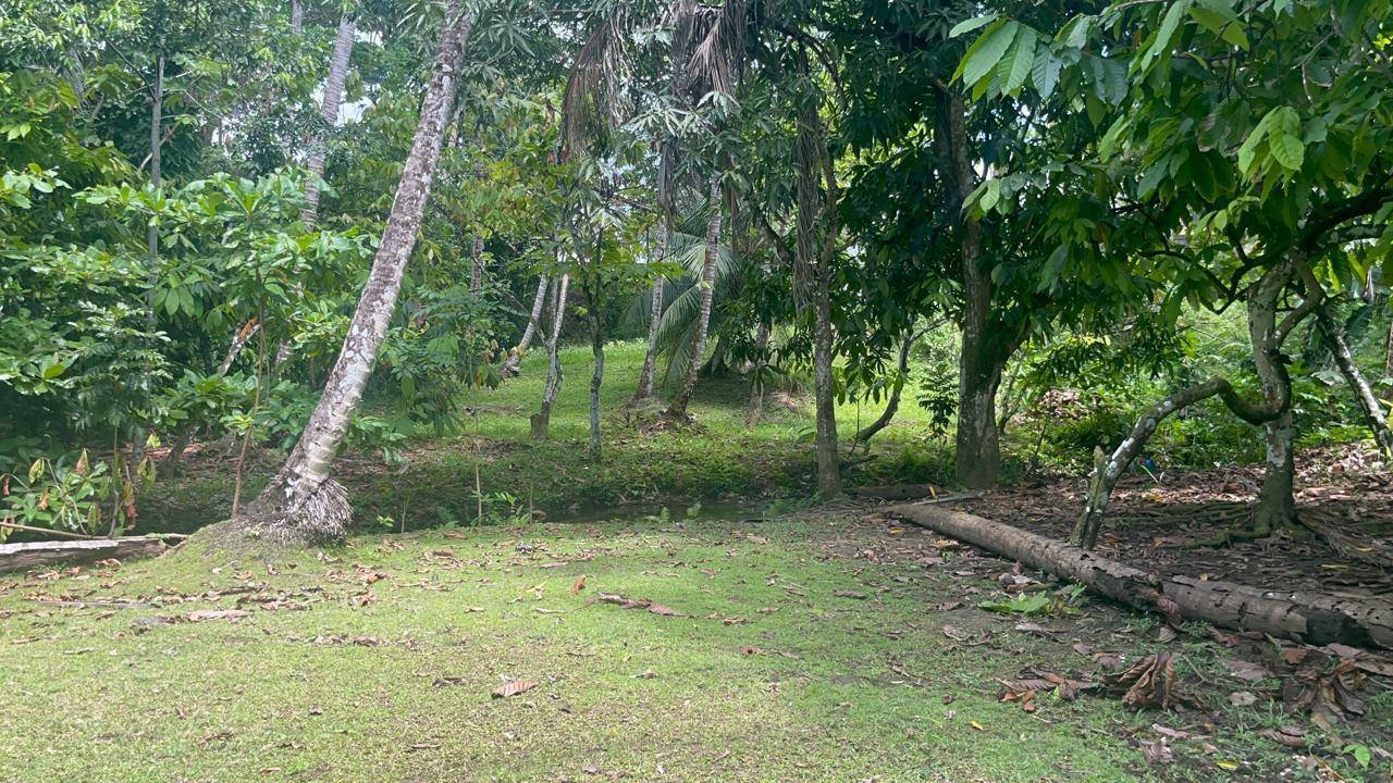 Samaná Villa with Airbnb Potential – Finish to Your Taste