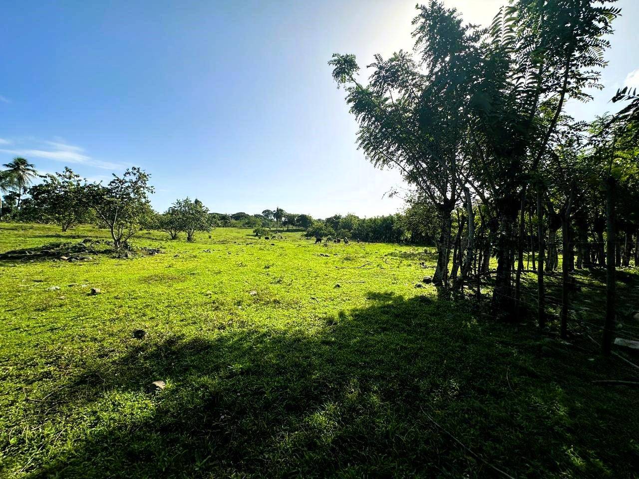 Terrenos en venta en Santo Domingo Oeste