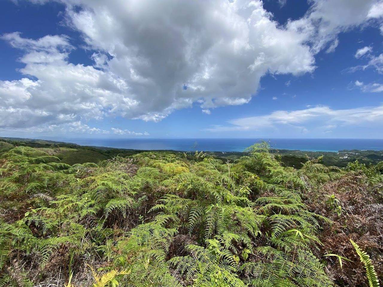 Villas ecológicas en Las Terrenas con Confotur