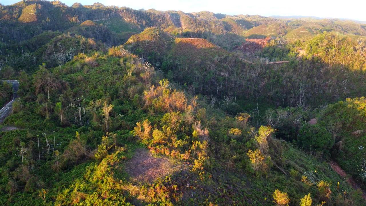 Villas ecológicas en Las Terrenas con Confotur