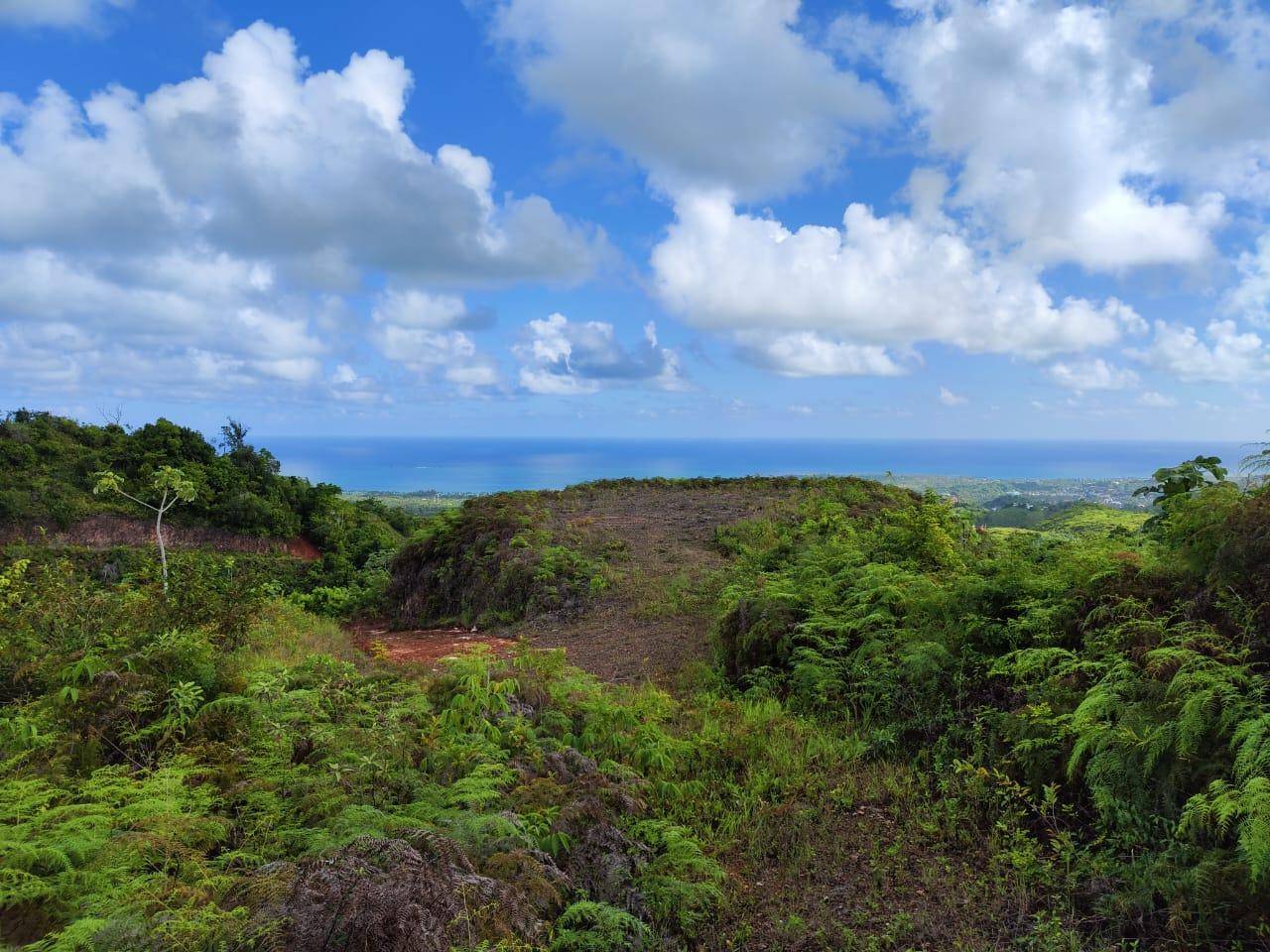 Villas ecológicas en Las Terrenas con Confotur