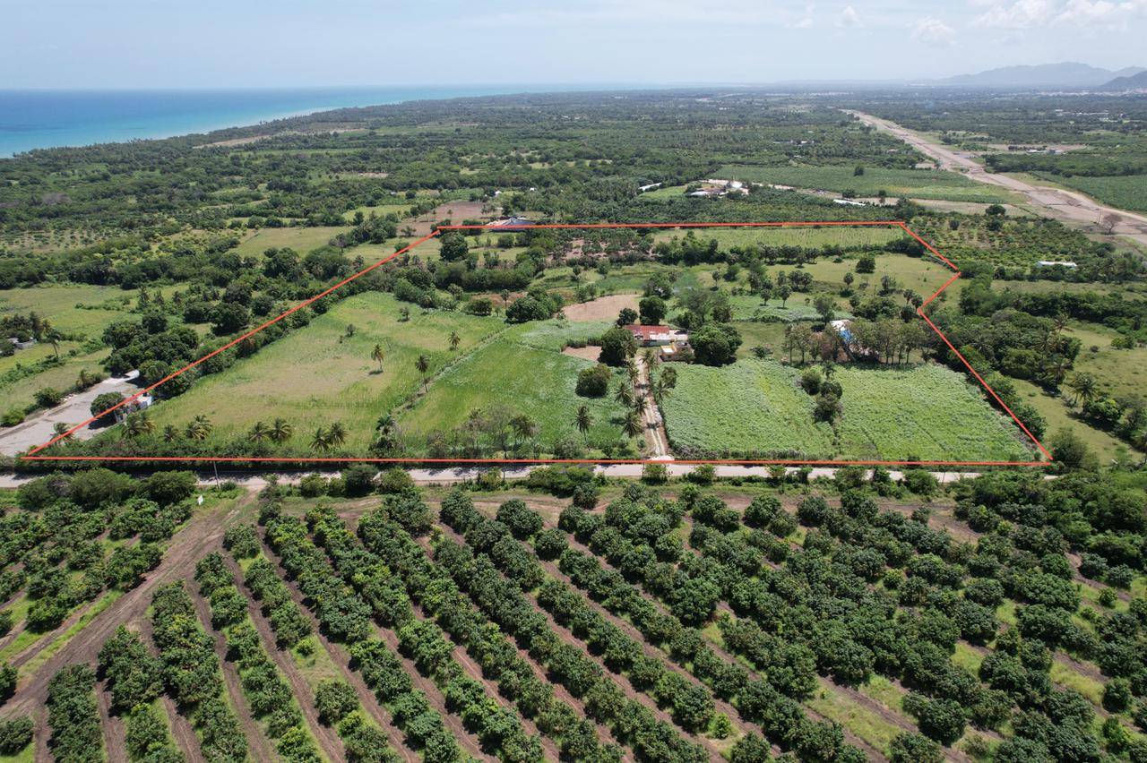 Terreno de 96,570 Metros en venta en Baní