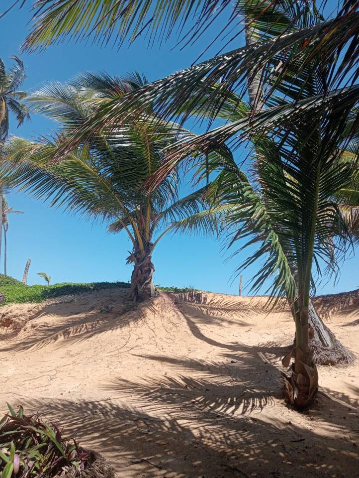 Terrenos en venta en Higüey