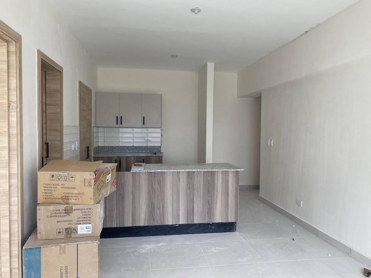Alquiler de apartamento de una habitacion en Naco