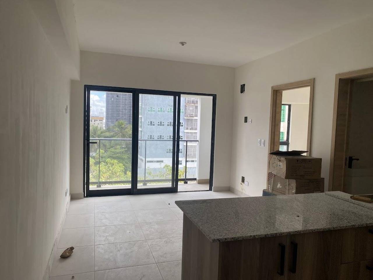 Alquiler de apartamento de una habitacion en Naco