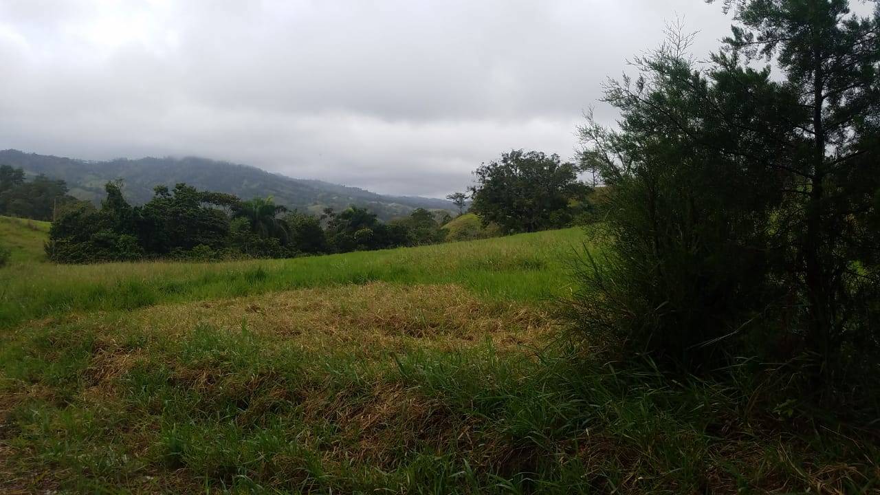 Solar de venta en proyecto cerrado.