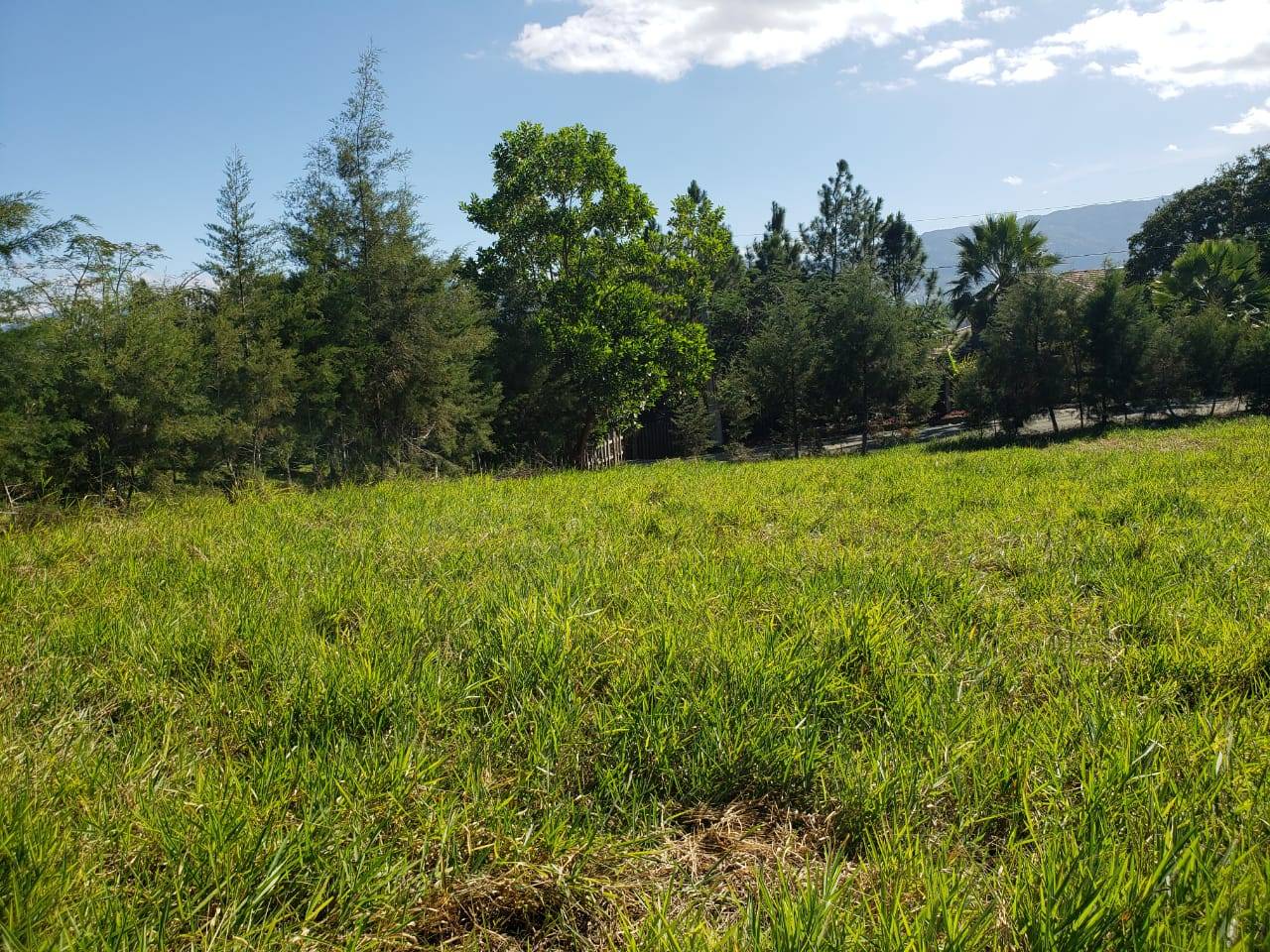 Solar de venta en proyecto cerrado.