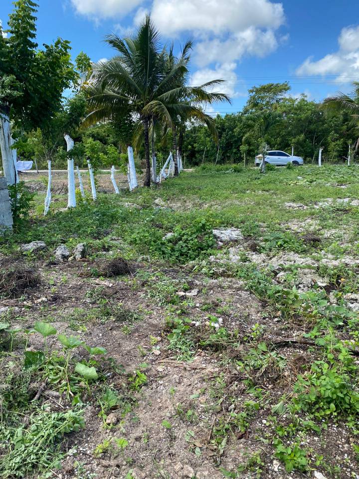 TERRENO PUEBLO BAVARO PUNTA CANA