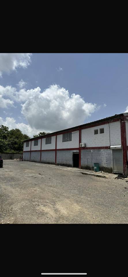 ¡Oportunidad Industrial en Venta o Alquiler! Nave Industrial, Pedro Brand – A solo pocos de MERCADOM ⭐️
