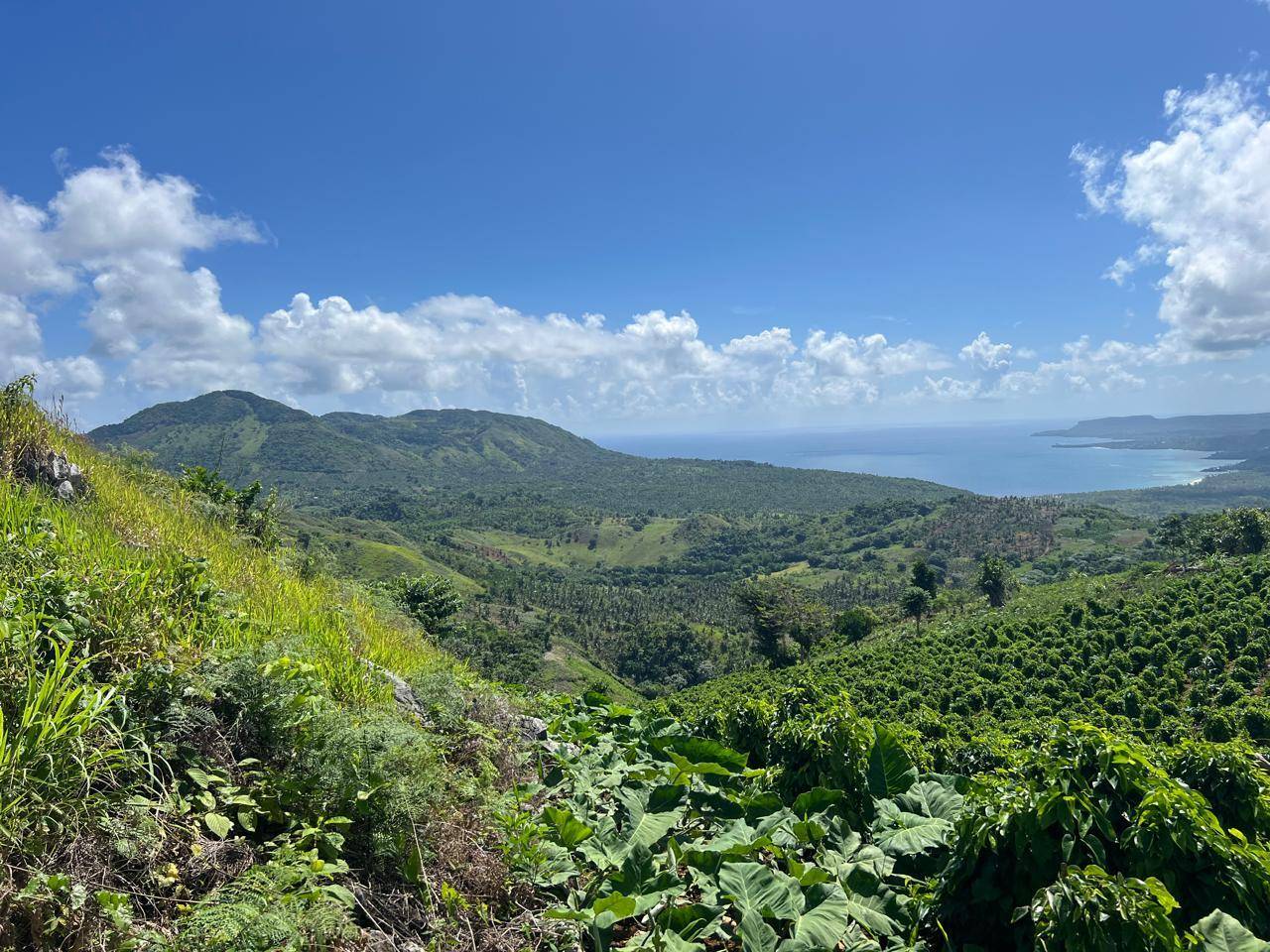 Terrenos para Desarrollo Turístico en Las Galeras, Samaná | Inversión Inmobiliaria Frente al Mar
