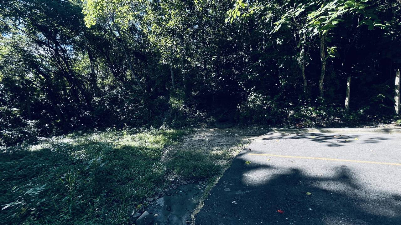 En venta solar de 1297.17 m² ubicado en Buena Vista Arroyo Manzano
