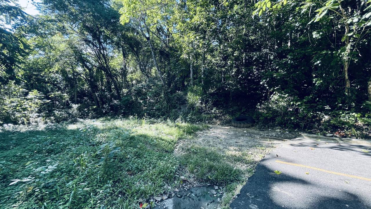 En venta solar de 1297.17 m² ubicado en Buena Vista Arroyo Manzano
