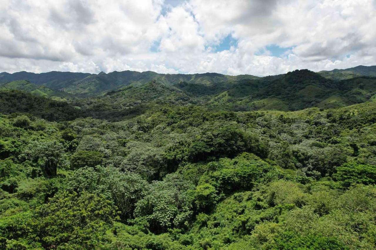 Fincas en venta en Bávaro