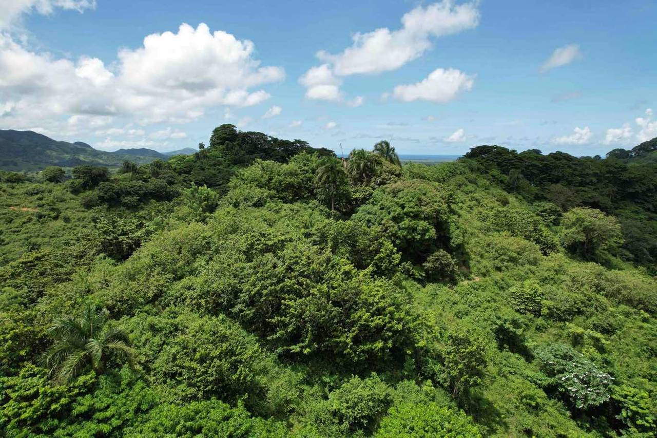 Fincas en venta en Bávaro