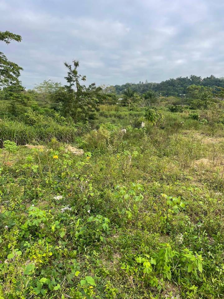 Terreno en venta Manoguayabo
