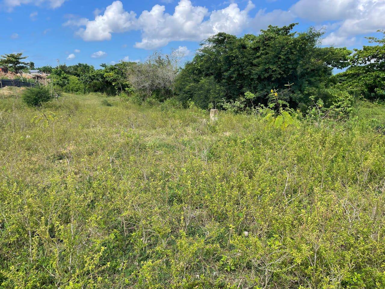 Terreno en venta Manoguayabo