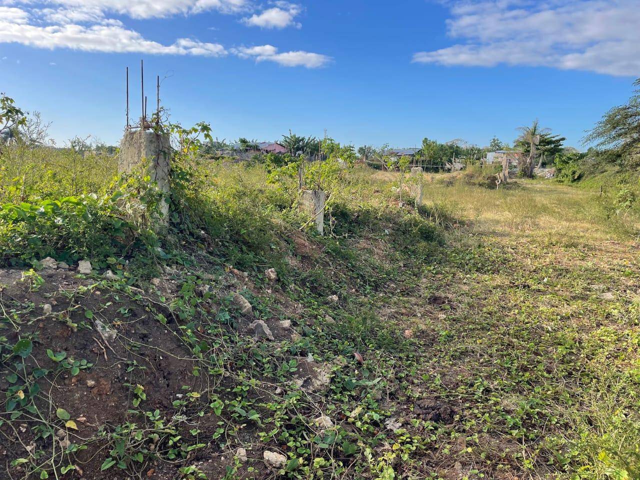 Terreno en venta Manoguayabo