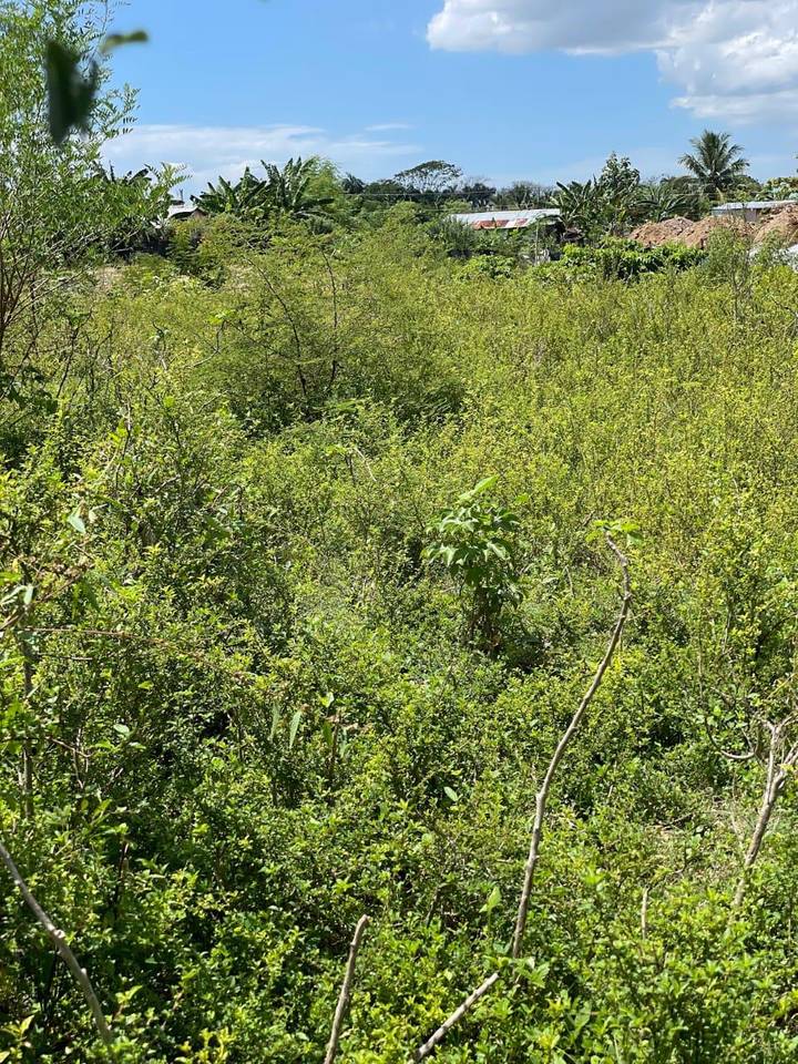 Terreno en venta Manoguayabo