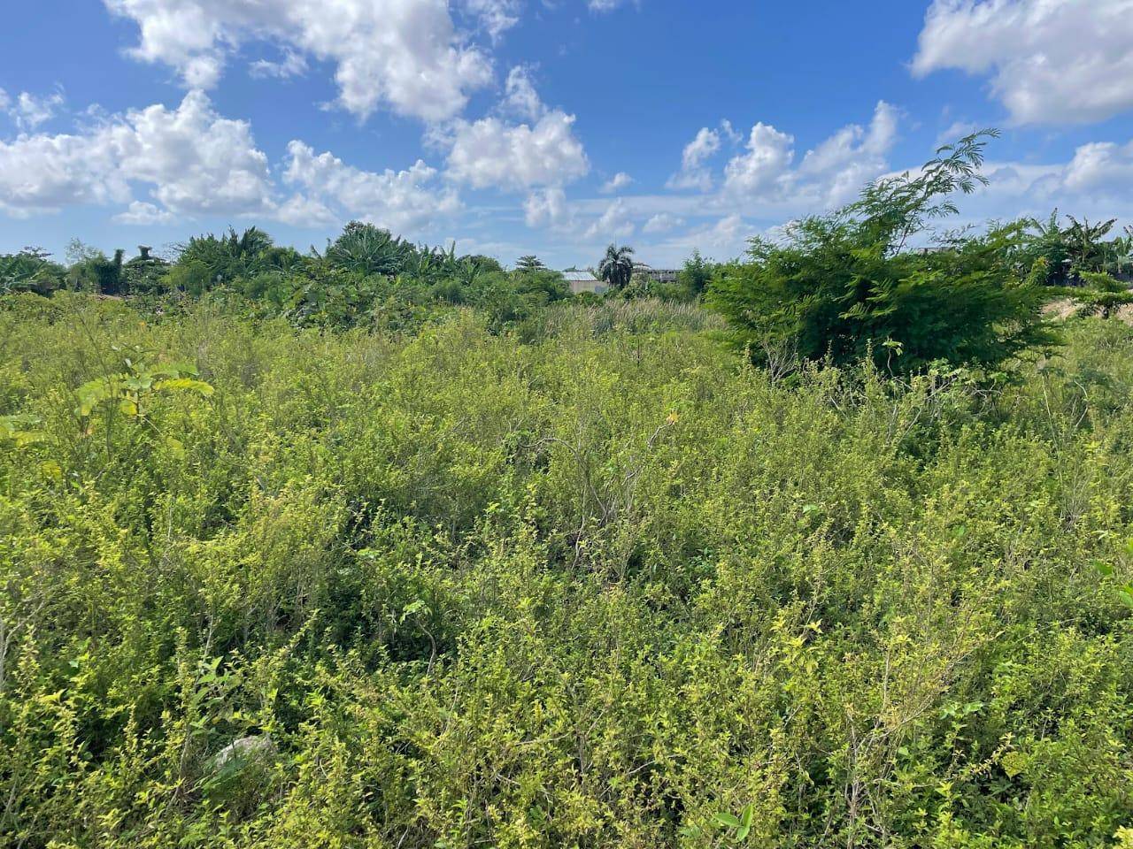 Terreno en venta Manoguayabo