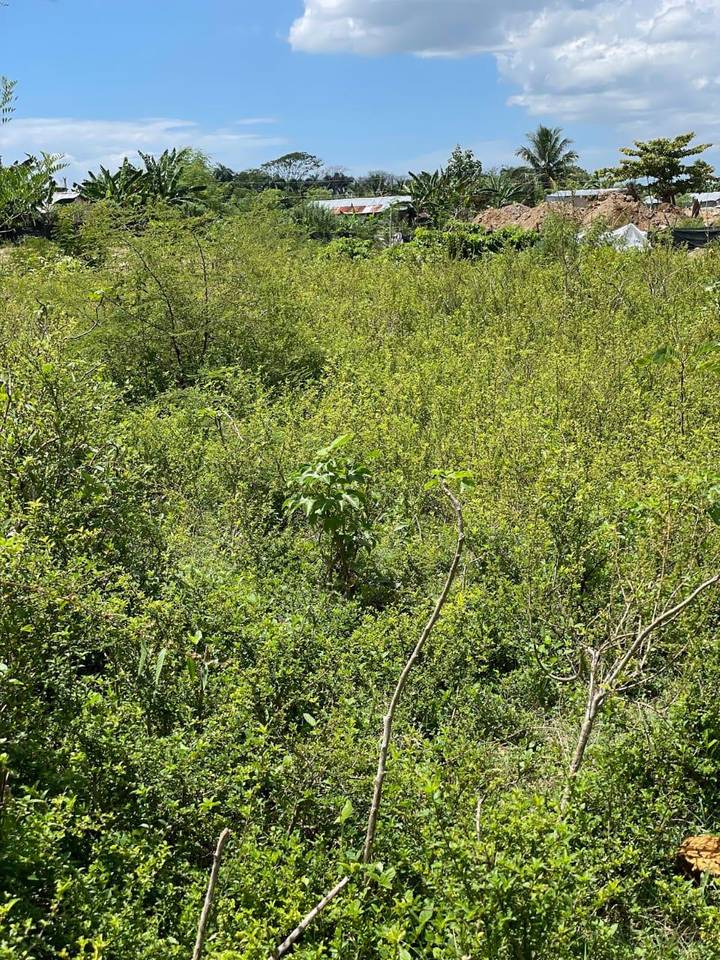 Terreno en venta Manoguayabo