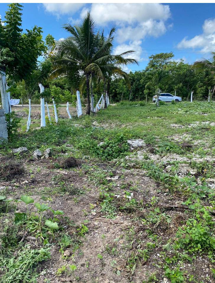 CORNER LOT BAVARO PUNTA CANA 3
