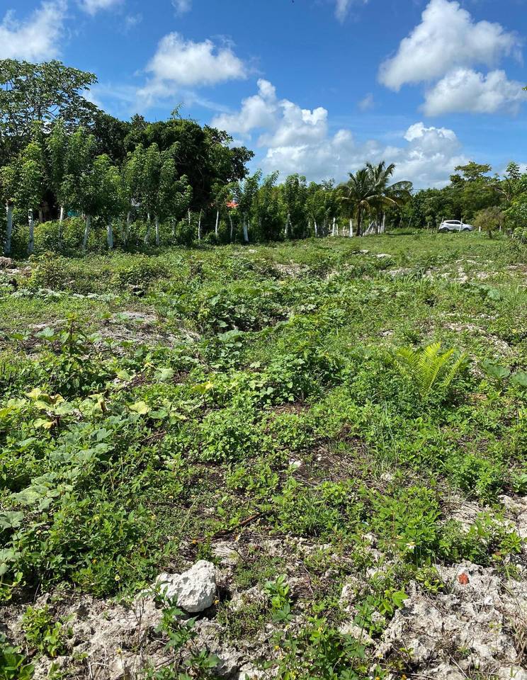 CORNER LOT BAVARO PUNTA CANA 2