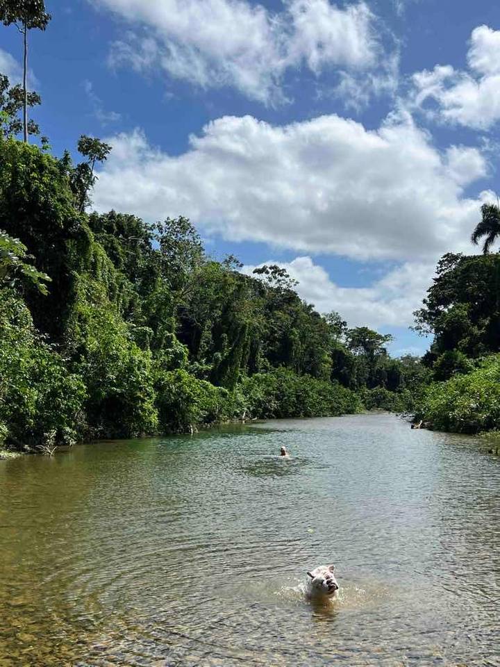 Fincas en venta en Higüey