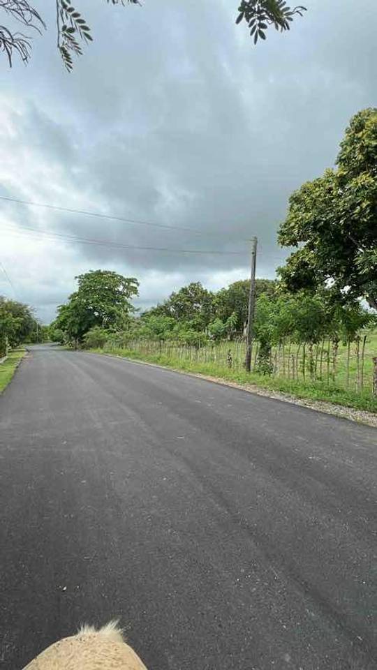 Fincas en venta en Higüey