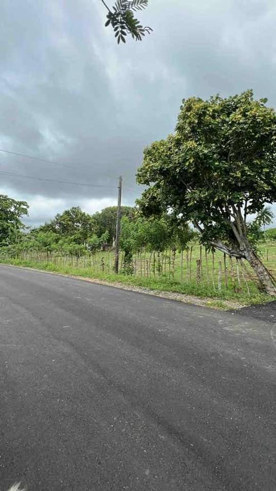 Fincas en venta en Higüey