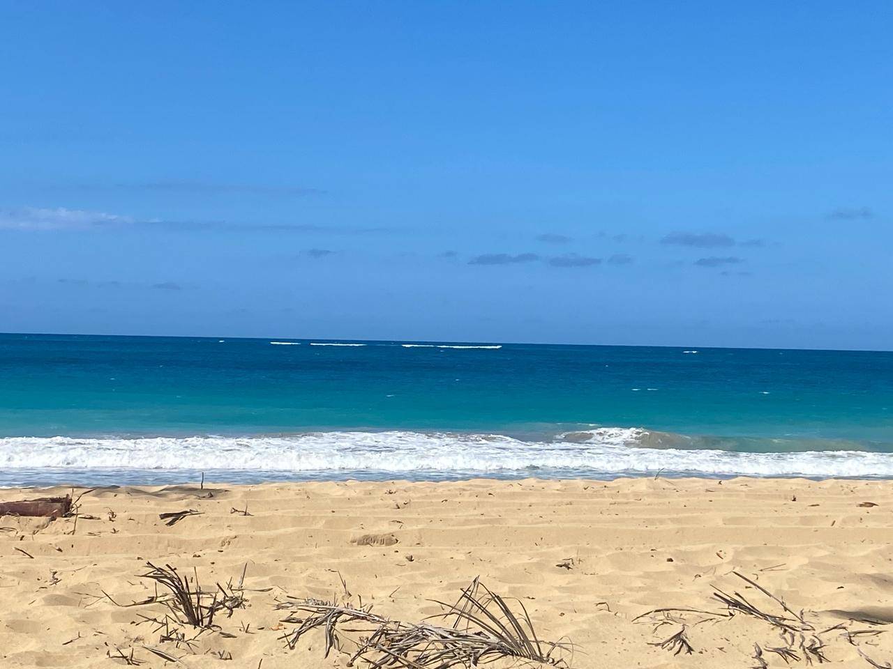 Stunning Beachfront Land Near Punta Cana