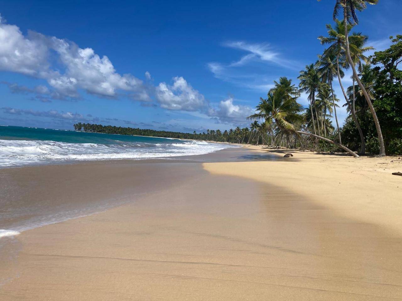 Stunning Beachfront Land Near Punta Cana