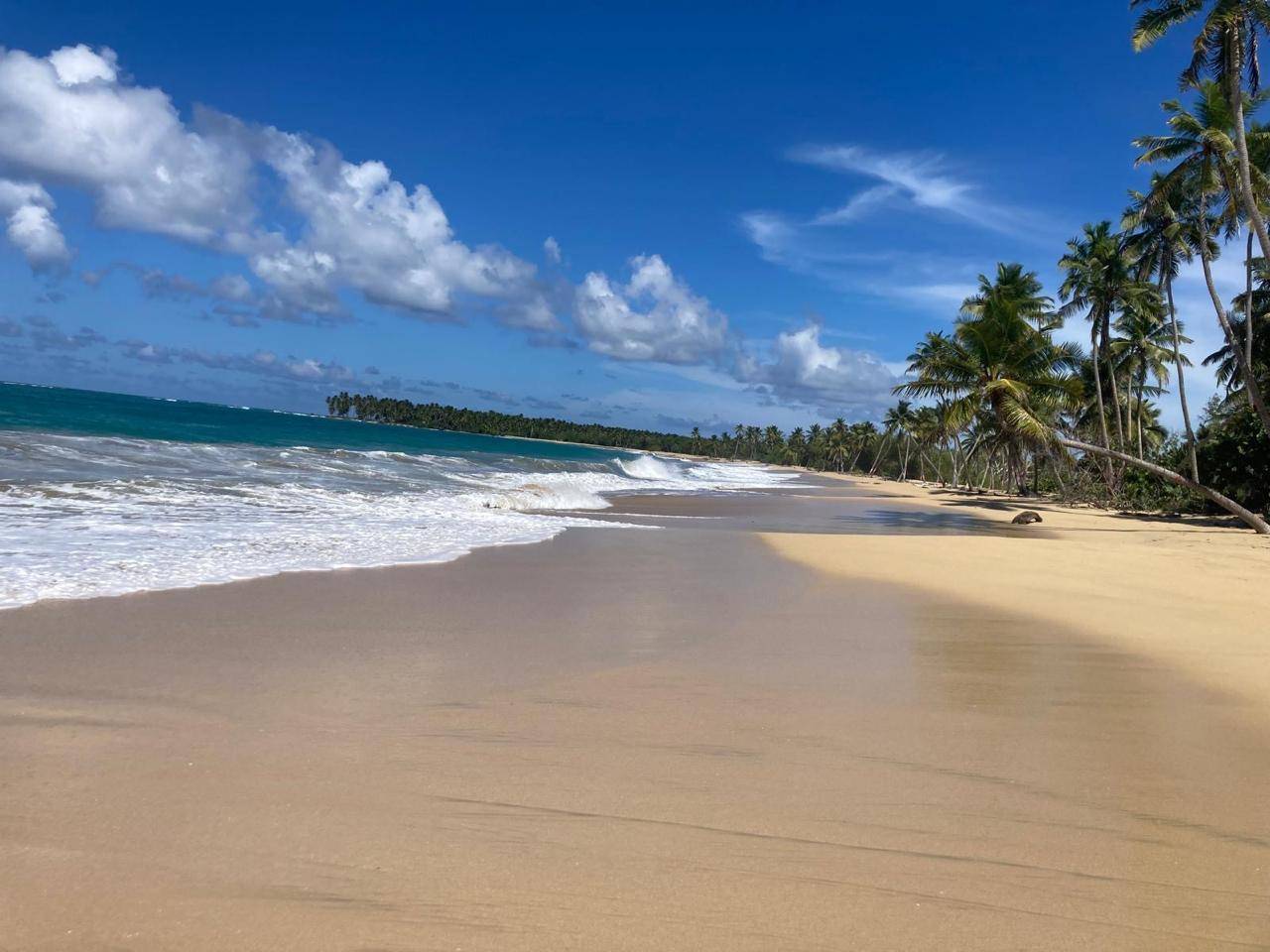 Stunning Beachfront Land Near Punta Cana