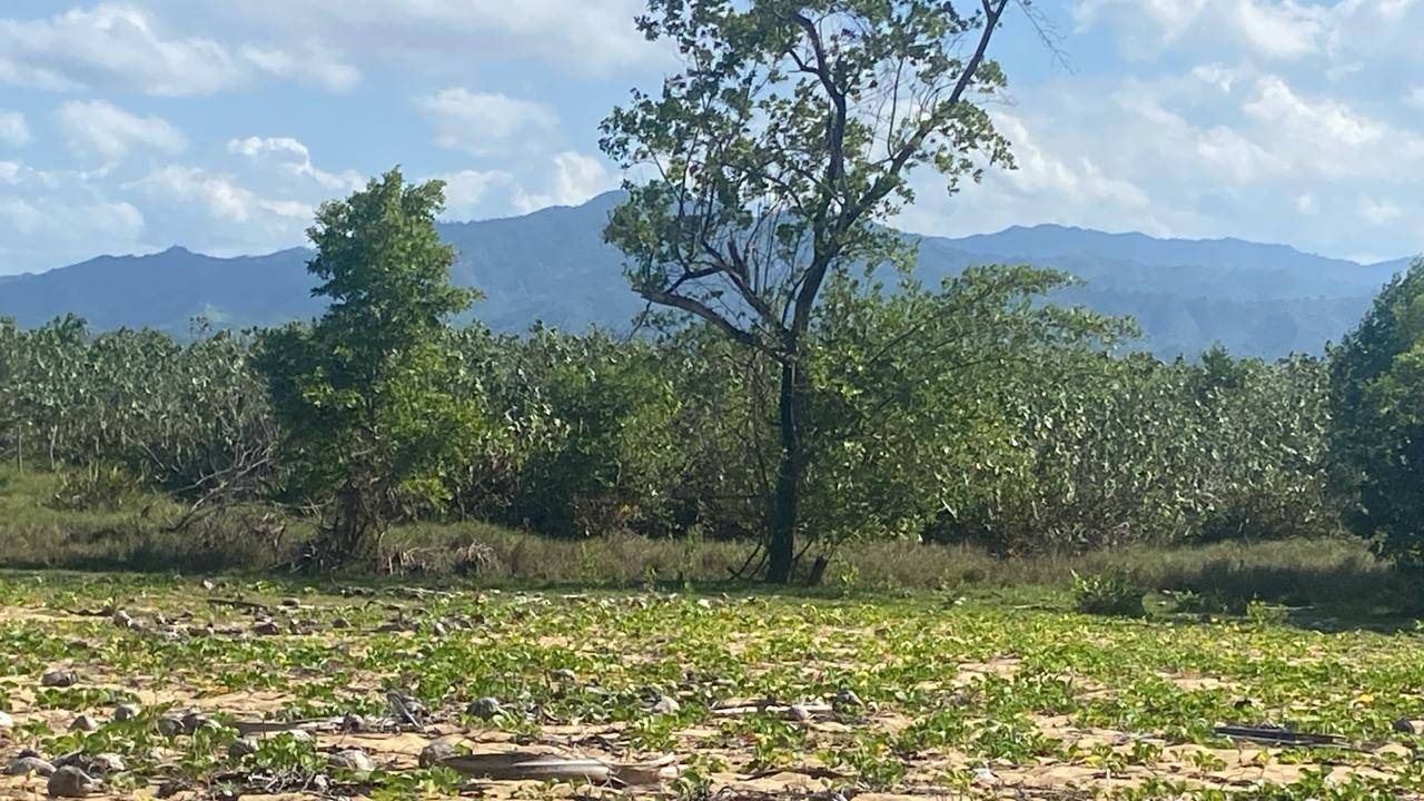 Stunning Beachfront Land Near Punta Cana