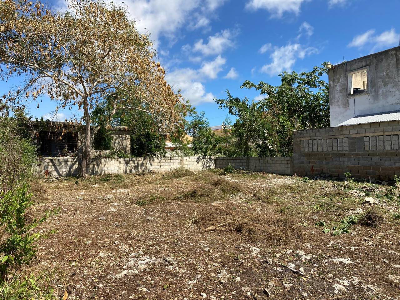 LAND SALE IN BOCA CHICA 3