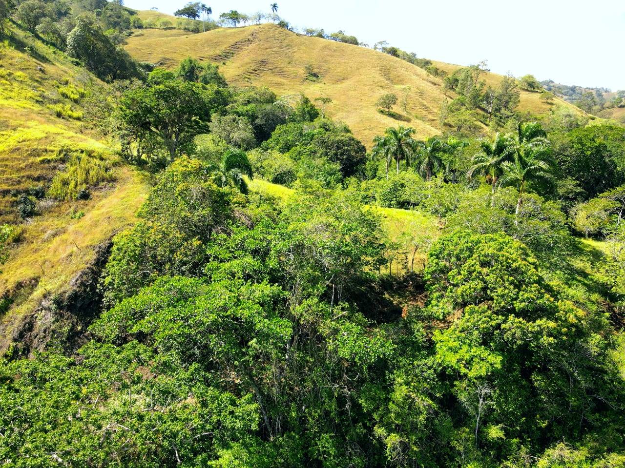 Finca de venta en Boma
