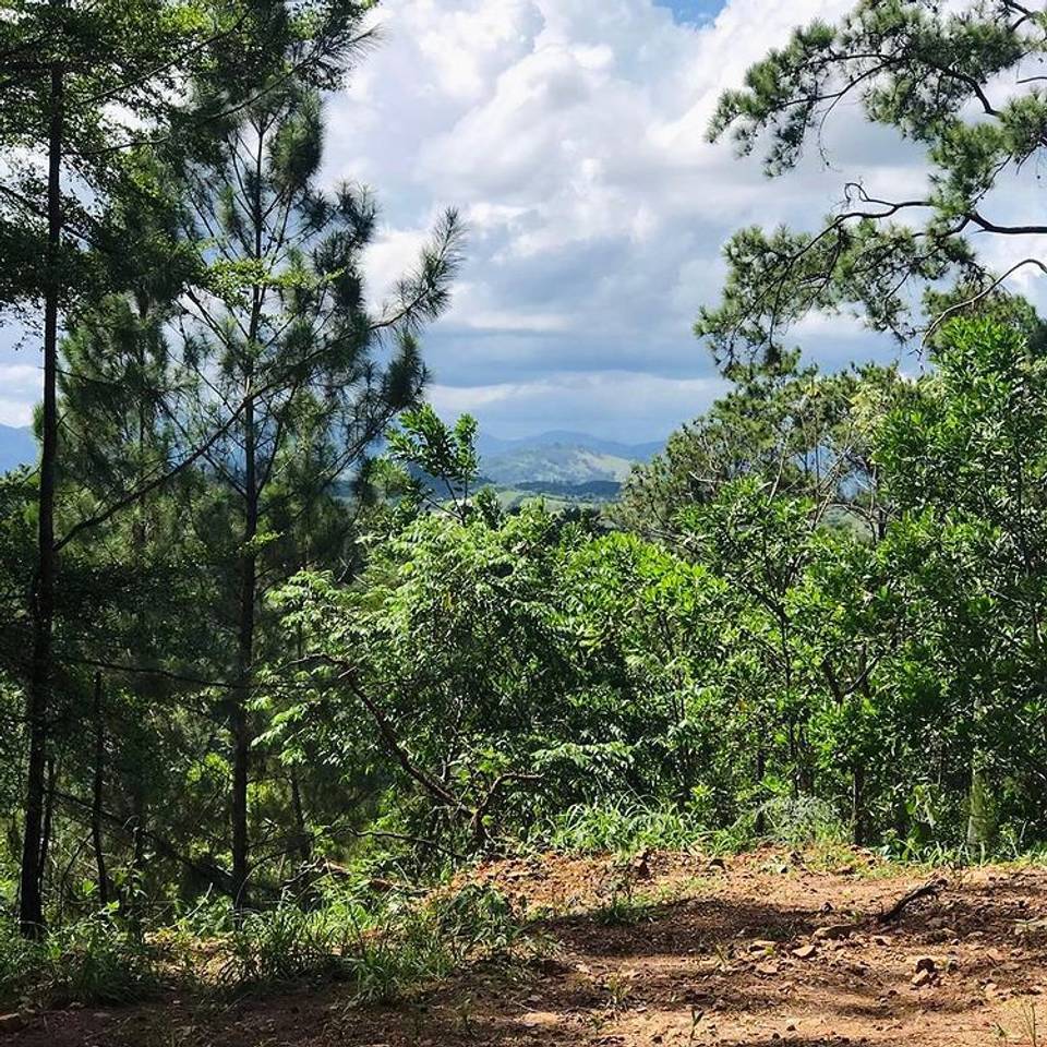 Venta de Solares en Proyecto Ecológico de Jarabacoa