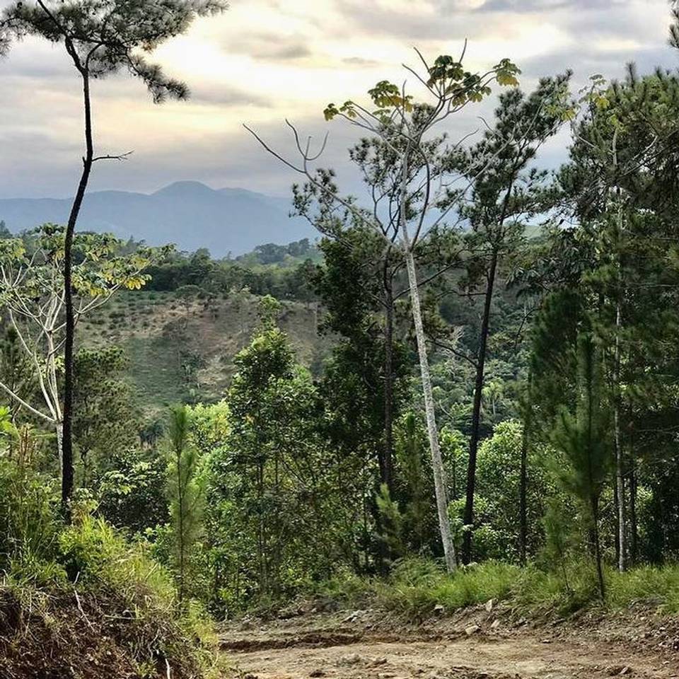 Venta de Solares en Proyecto Ecológico de Jarabacoa